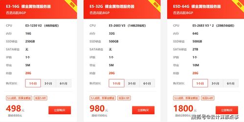 小鳥云裸金屬物理服務器0元拼團活動 限量搶購，開啟高效終端租賃新體驗